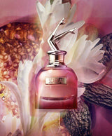 Scandal Jean Paul Gaultier للنساء without box - Lion's store