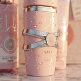 Lion's Store Yara Box with colorful packaging and secure latch, designed for storage and organization.