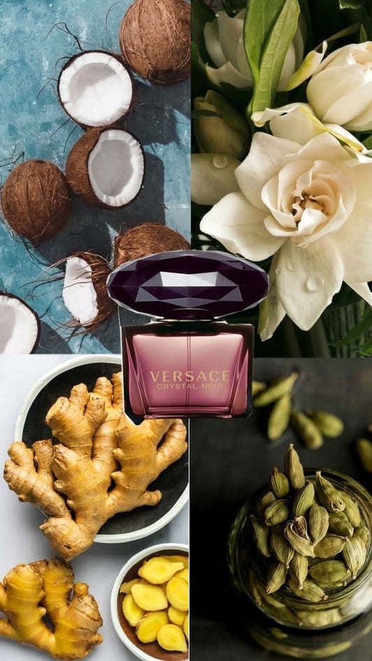 Crystal Noir Versace للنساء - Lion's store 